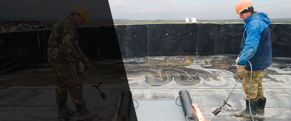 Export Roofing Contractors
